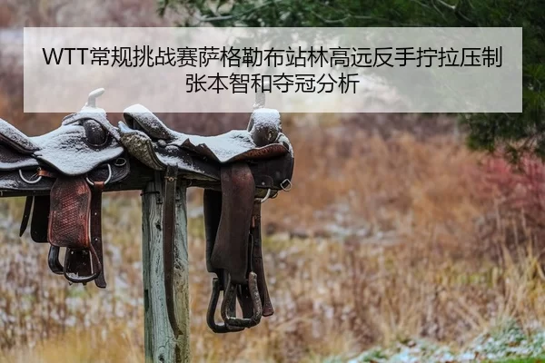 WTT常规挑战赛萨格勒布站林高远反手拧拉压制张本智和夺冠分析